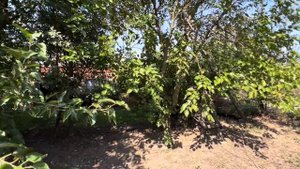 Супер ДОМ на юге от СОБСТВЕННИКА! / ст. Старонижестеблиевская