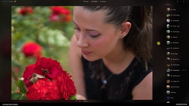 Luminar Neo - Das neue Migrations Tool Übertragen von Presets und Katalogen aus Luminar AI