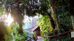 Kupu Kupu Barong Villa and Tree spa, Bali, Indonesia, 2018