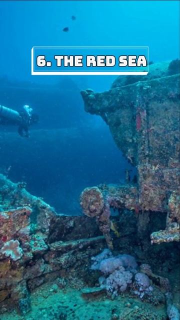 Top 10 places to travel Egypt | Travel Egypt 2022 #top10places #egypt #travelegypt #top10 смотреть онлайн