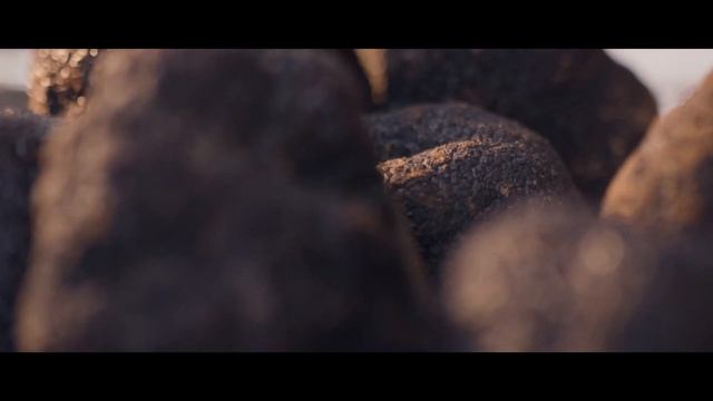 LE PRODUCTEUR DE LA SEMAINE : PLANTIN смотреть онлайн