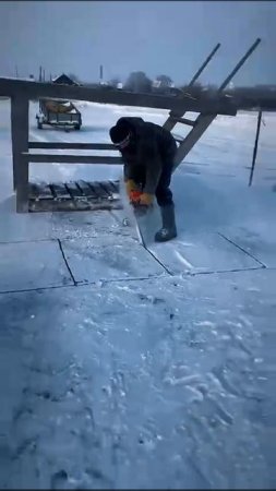 WhatsApp Video 2025-01-18 at 13.51.19