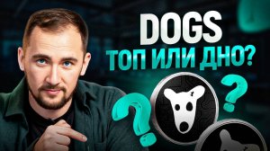 Листинг монеты DOGS. Разбор проекта и что делать дальше