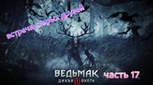 Ведьмак 3 Дикая охота часть 17