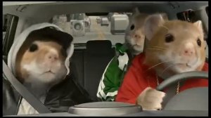 Реклама Kia с хомяками - 2010