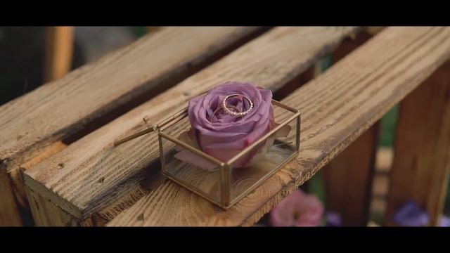 Свадьба Звук Свет Сцена Бэклайн Экран Днепр смотреть онлайн