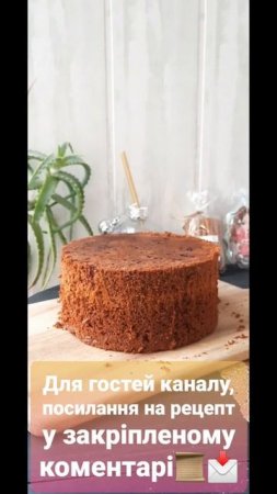 #бісквіт🍯🥧 #рецепт #recipe #recipeshorts #медовик #shorts #shortvideo #newvideo