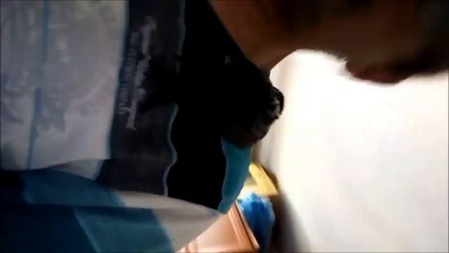 стриж прилетел на кухню