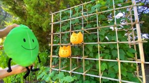 Who's The Real Firey? (ft. Leafy Plush)