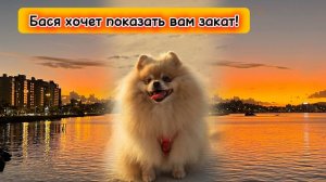 Бася хочет показать вам закат!
