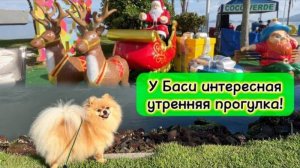 У Баси интересная утренняя прогулка!