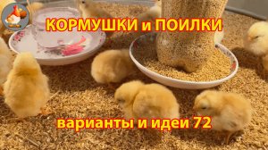 Кормушки и поилки для кур своими руками (72) 🪚✂️ Пошаговая инструкция как сделать 🐔 🐓❣️