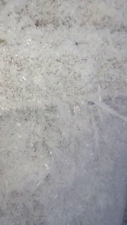 ️наморозило❄️