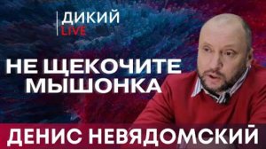 Кнут и пряник. Денис Невядомский. Дикий LIVE.