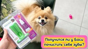 Получится ли у Баси почистить себе зубы?