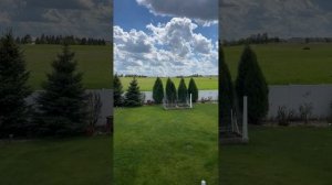 Тихо-Ша! Одесситка в США в прямом эфире!