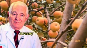 НЕ КОРМИТЕ АПТЕКИ🤯😳 Разгоняй Лимфу Так! Бесценные советы