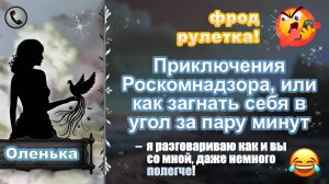 ОЛЕНЬКА. Приключения Роскомнадзора, или как загнать себя в угол за пару минут