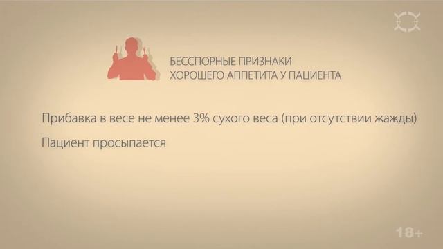 Food is life! Meals hemodialysis patients смотреть онлайн