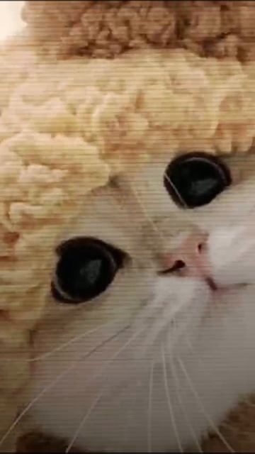 1000024207.mp4 смотреть онлайн