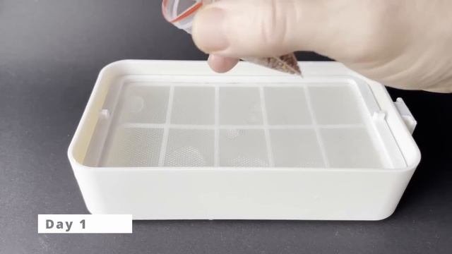 Устройство для выращивания микрозелени DIY.