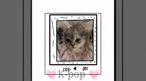 песня квинкард🤩🥺💋