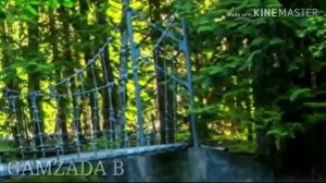 Ё Расулуллох аз хама кас ту бехтарини ❤️❤️❤️