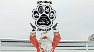 Новый год 2025 в зоогостинице "Лучшие Друзья"