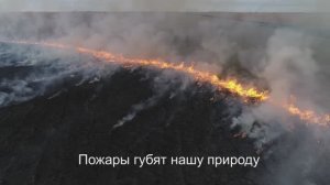 Стань добровольным лесным пожарным