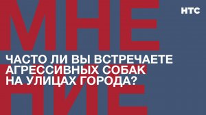 Мнение: Часто ли вы встречаете агрессивных собак на улицах города?