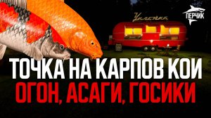 Вкусная точка на карпов Кои! Новая сборка на Медном ● Русская рыбалка 4 ● Перчик РР4