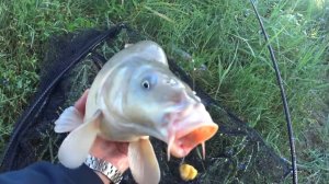 Карпфишинг в МУСОРЕ!!! Рука таскать устала(12 апреля 2023)