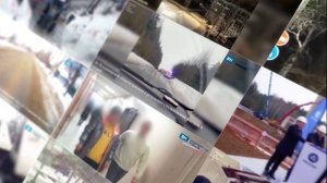 Воронежские рыбаки продолжают покорять водохранилище