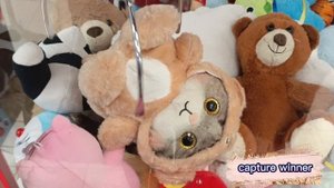ЛОВЛЮ КРАСИВОГО КОТИКА 😻В МУЗЫКАЛЬНОМ АППАРАТЕ 🎰