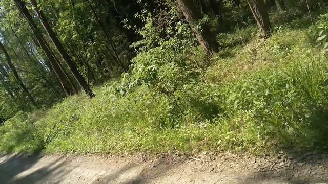 Звуки Природы-Матушки !!!