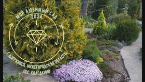 Ландшафтный дизайн в моём саду | Нижегородская область | Ирина Кацапова