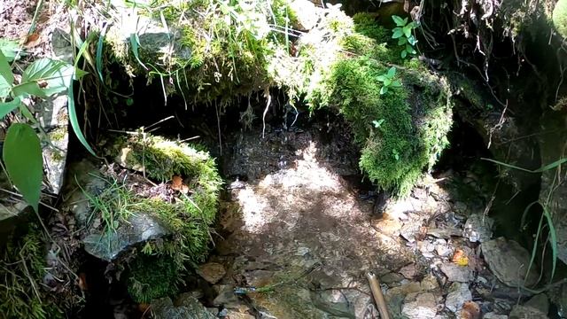 DJIDmit - Сплав по Белой 01.08.20 смотреть онлайн