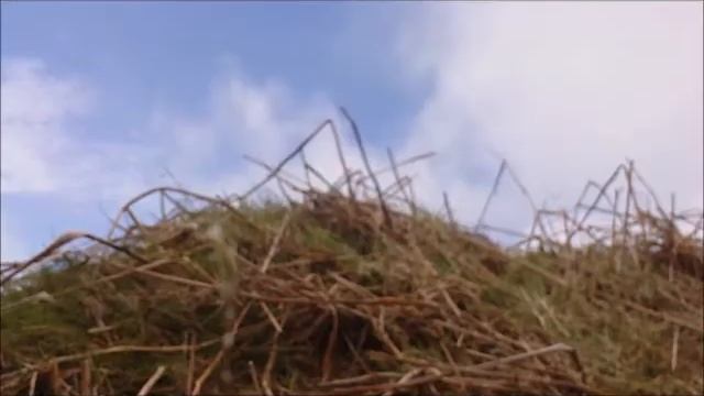 S.T.A.L.K.E.R: The Dutch stranger (fan-made short film) смотреть онлайн