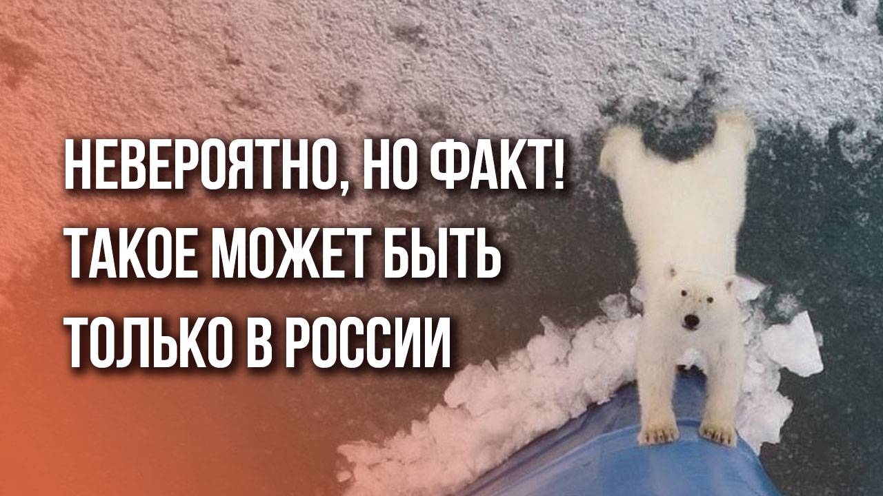 Такое может быть только в России! Посмотрите, это очень трогательно