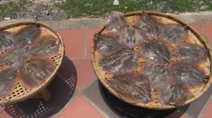 Деревенский шеф-повар готовит ската с вкусными рецептами