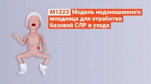 М1223 - Модель недоношенного младенца для отработки базовой СЛР и ухода