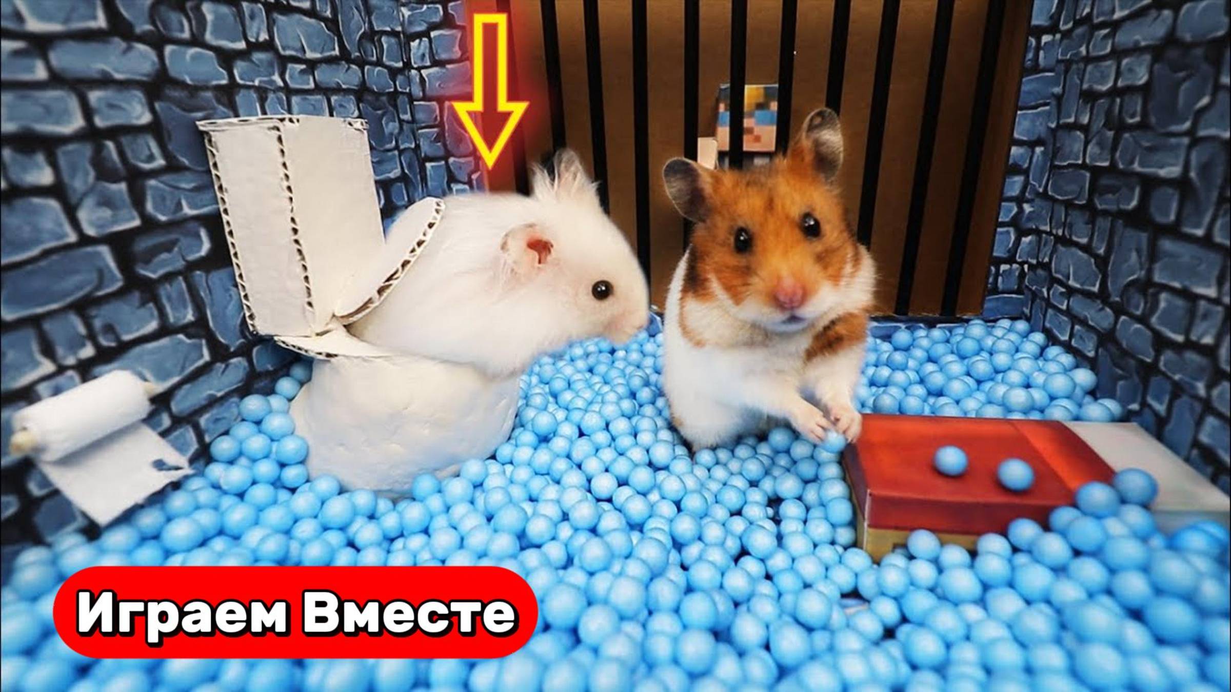 Хомяк попал в хитрую тюрьмы с ловушками ! Видео для детей ! Умный Хомяк !