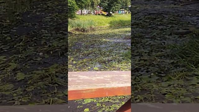 Вышний Волочёк обводной канал без воды11 июля 2024 г. смотреть онлайн