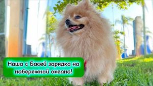 Наша с Басей зарядка нанабережной океана!
