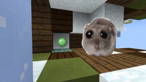 грустный хомяк