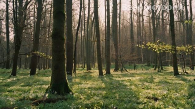 📚 Невестка происходила из неблагополучной семьи, и поначалу у нее не было тесного контакта... смотреть онлайн