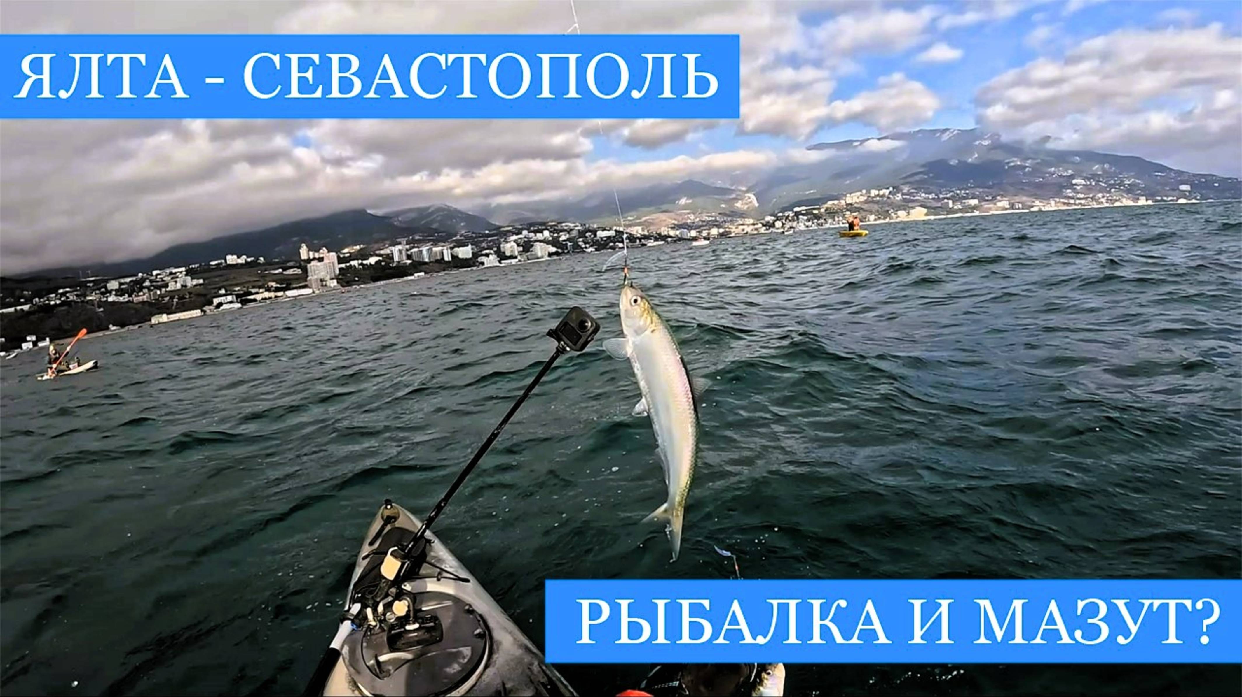 Крымская рыбалка и МАЗУТ!! - Ловим селедку в Ялте и кефаль в Севастополе, спасаем птиц!