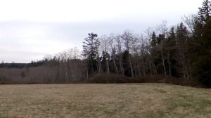 Cartoon 1s Magnus Effect Hawkeye E-2C RWR (Rotating Wing Radar) "Eagle Eye" Test Flight