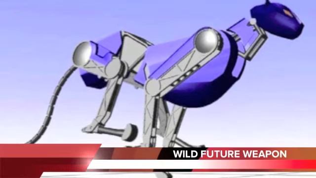 Group Project Team Gamma Podcast смотреть онлайн