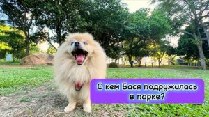 С кем Бася подружилась в парке?